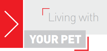 Living with YOUR PET