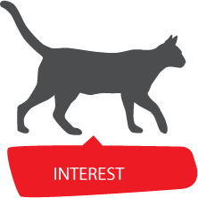 興趣 INTEREST