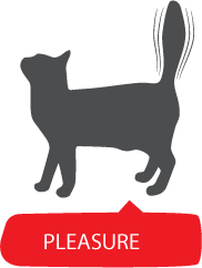 愉悦 PLEASURE