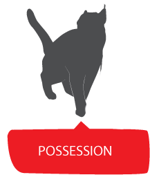 佔有 POSSESSION