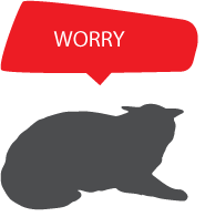 憂慮 WORRY