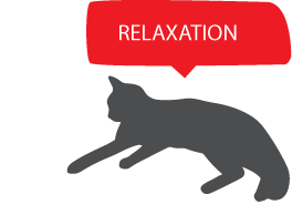 放鬆 RELAXATION