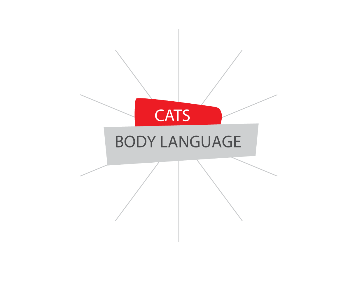 貓咪的CAT'S, 身體語言 BODY LANGUAGE