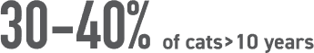 30-40% of cats > 10 years 10歲以上的貓中有30-40%