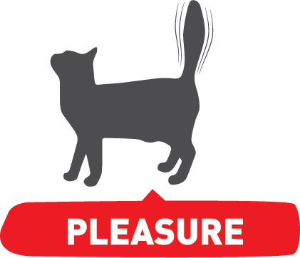 愉悦 PLEASURE