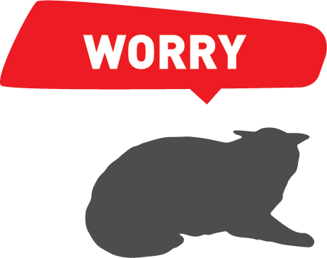 憂慮 WORRY