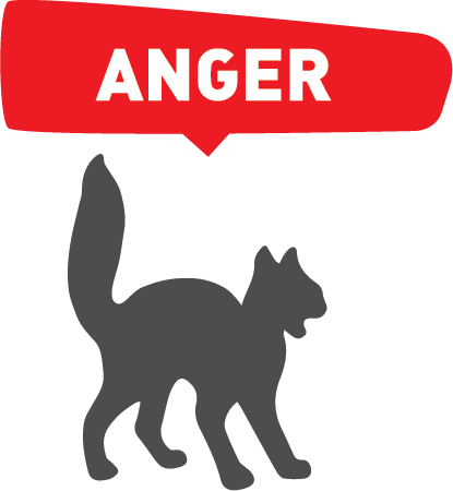 生氣 ANGER