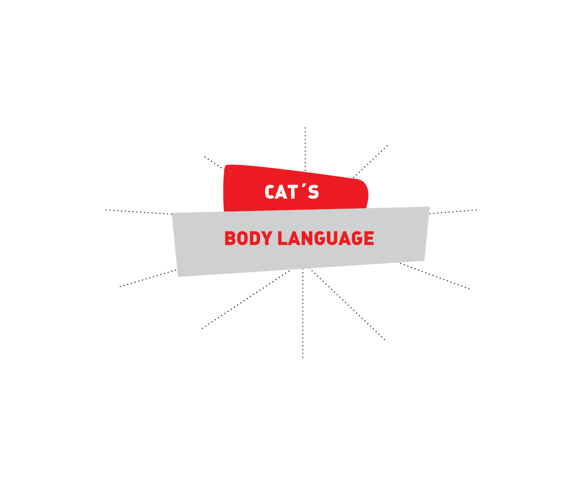 貓咪的CAT'S, 身體語言 BODY LANGUAGE