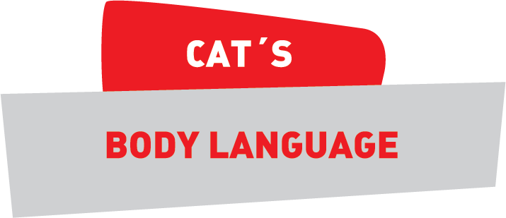 貓咪的CAT'S, 身體語言 BODY LANGUAGE