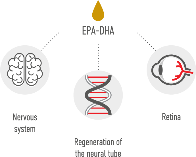 EPA-DHA