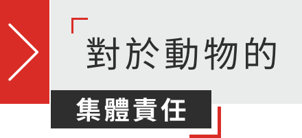對於動物的集體責任