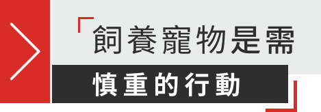 飼養寵物是需慎重的行動