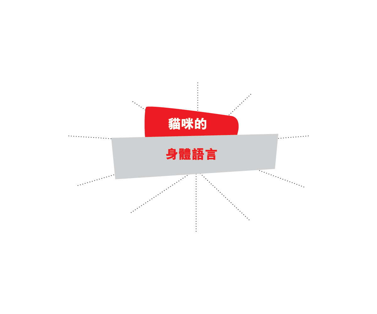 貓咪的CAT'S, 身體語言 BODY LANGUAGE