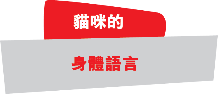 貓咪的CAT'S, 身體語言 BODY LANGUAGE