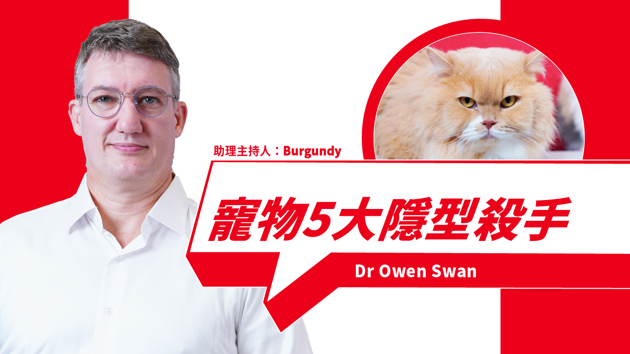 5 Hidden Health Risks for Pets