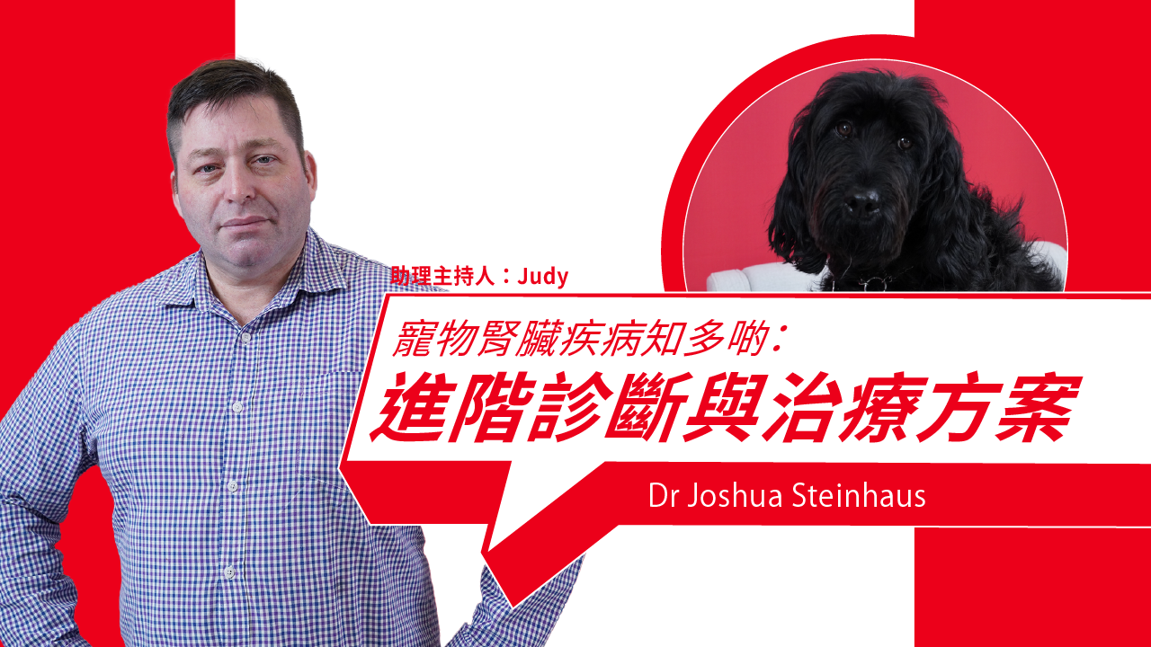 Advanced Insights into Feline and Canine Kidney Diseases: Diagnostics and Treatment Strategies