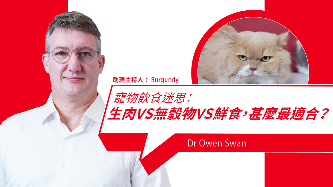 Pet Food Myths – Raw Meat vs Grain-Free vs Fresh Food