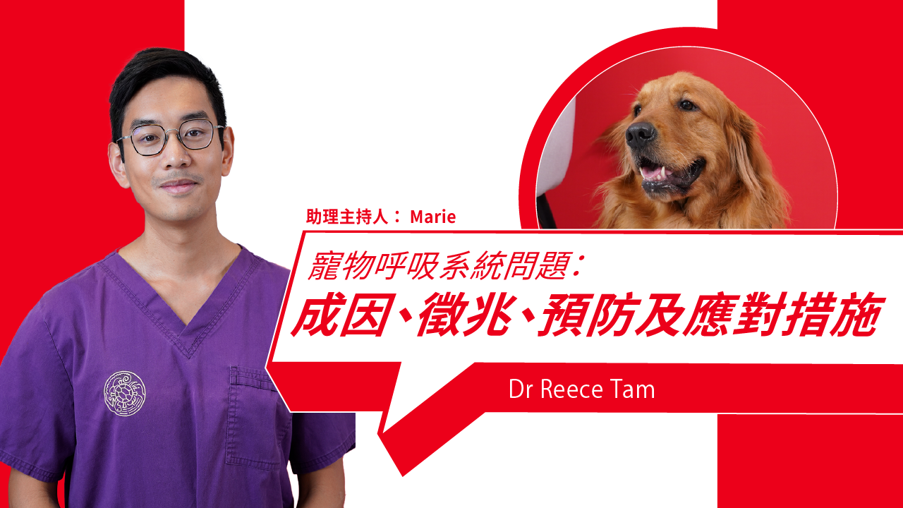 Pet Breathing Problems Explained: What to Watch For & How to Protect Your Pet