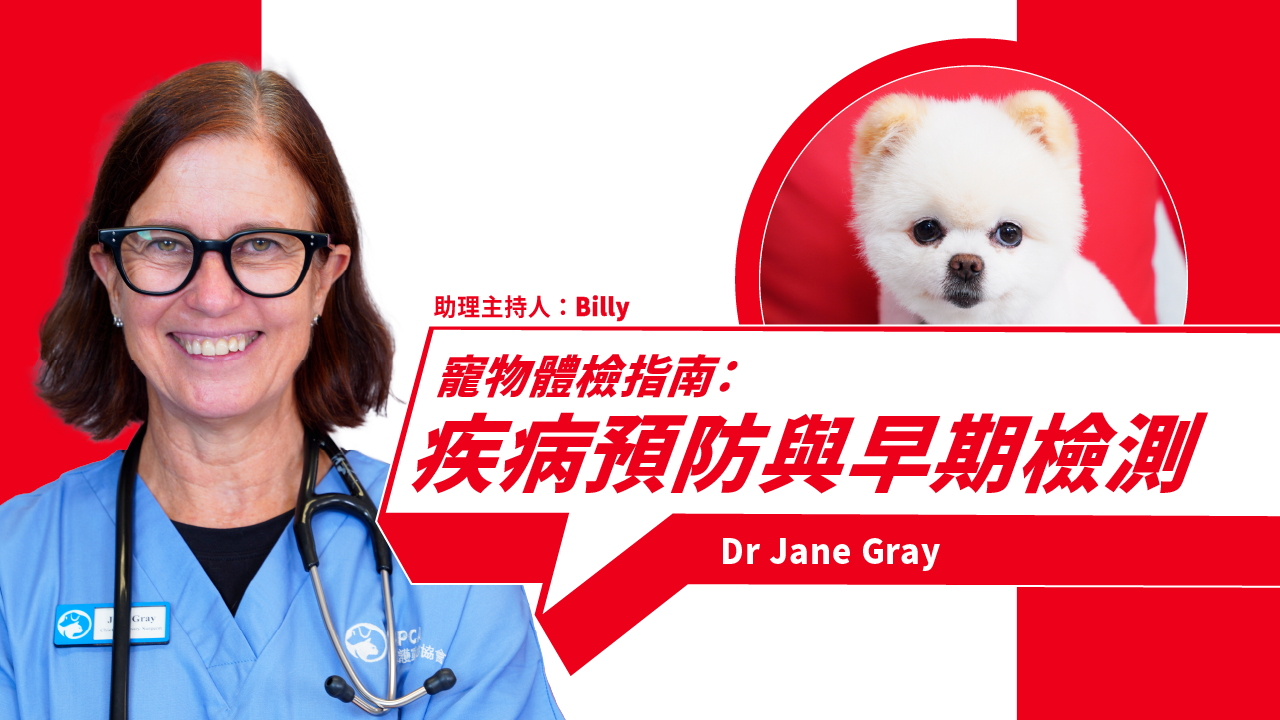 Pet Health Checkup Guide: Disease Prevention and Early Detection