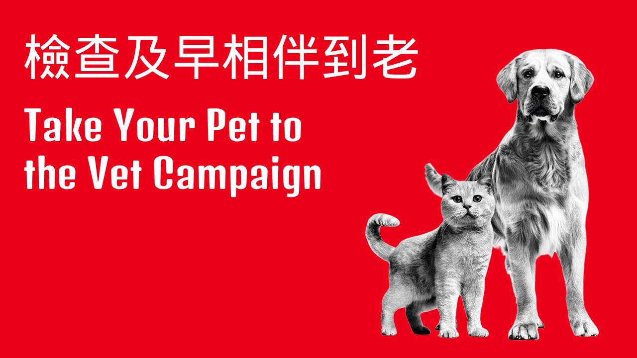 Take Your Pet to the Vet Campaign