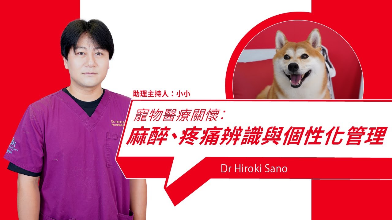 Pet medical care: Anesthesia, pain recognition, and personalized management