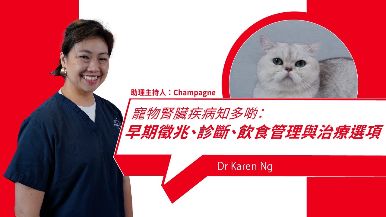 Learn More About Pet Kidney Disease: Early Signs, Diagnosis, Dietary Management, and Treatment Options