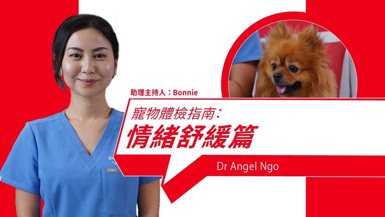 Low-Stress, High-Value Health Check-Up Tips