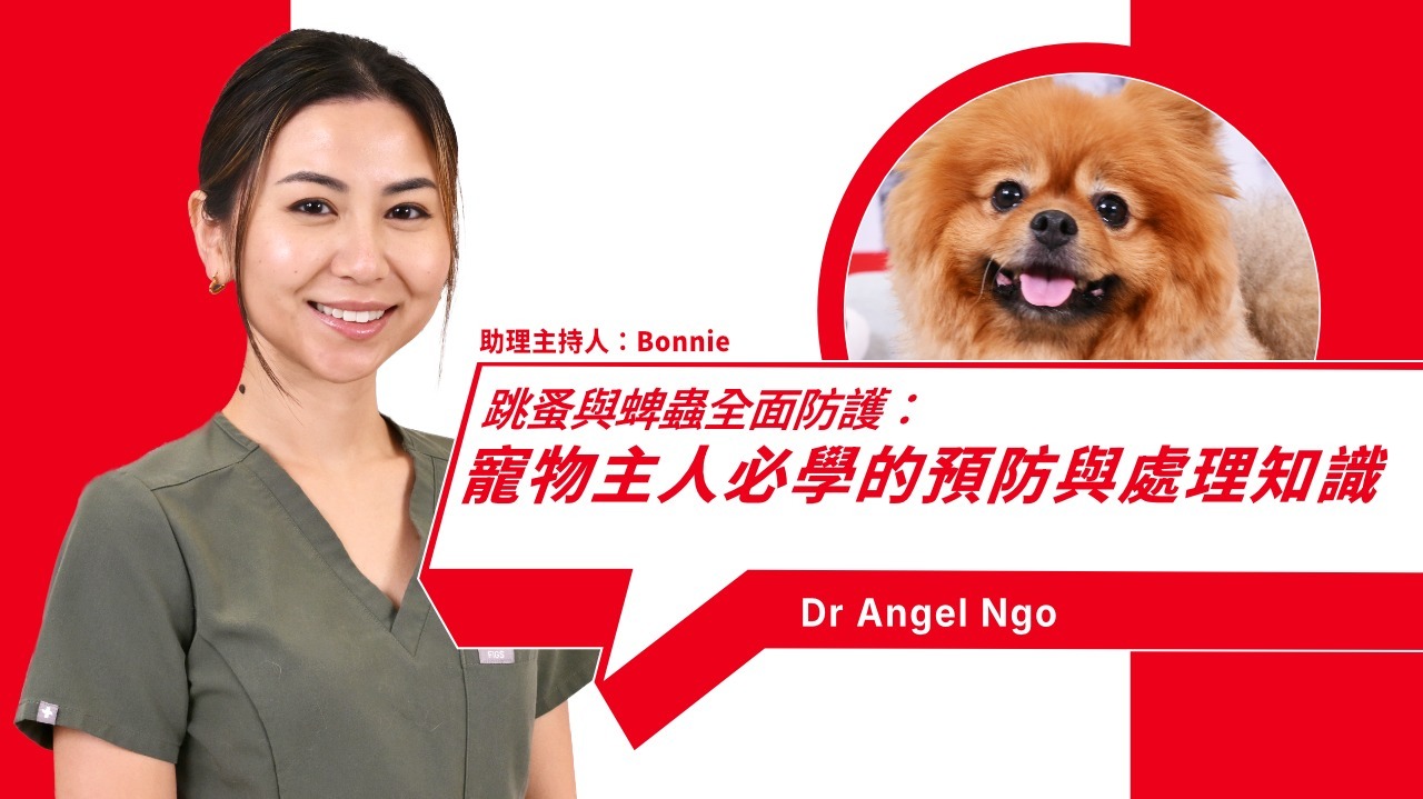 The Impact of Fleas and Ticks on Pets and Prevention Methods