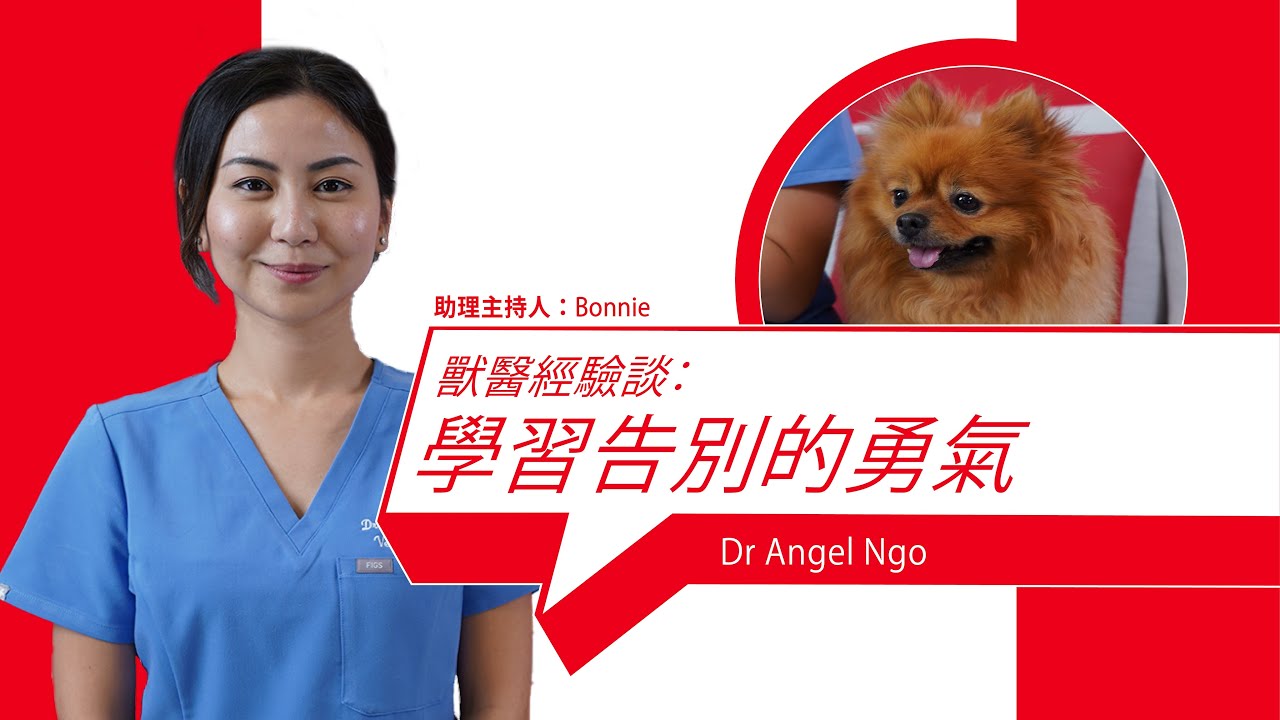 Learning the Courage to Say Goodbye