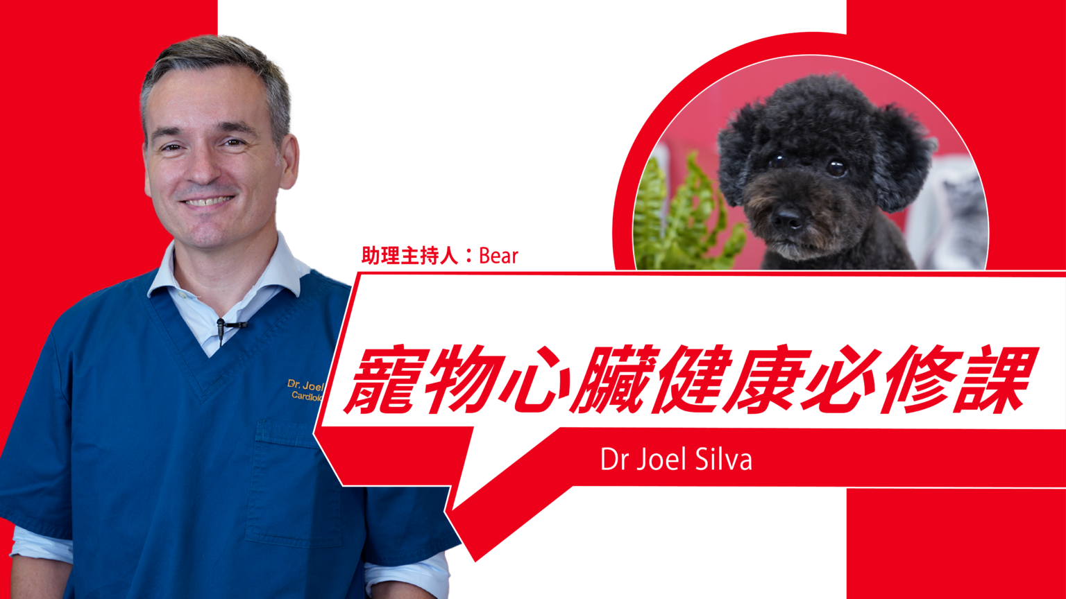 Essential Course on Pet Heart Health