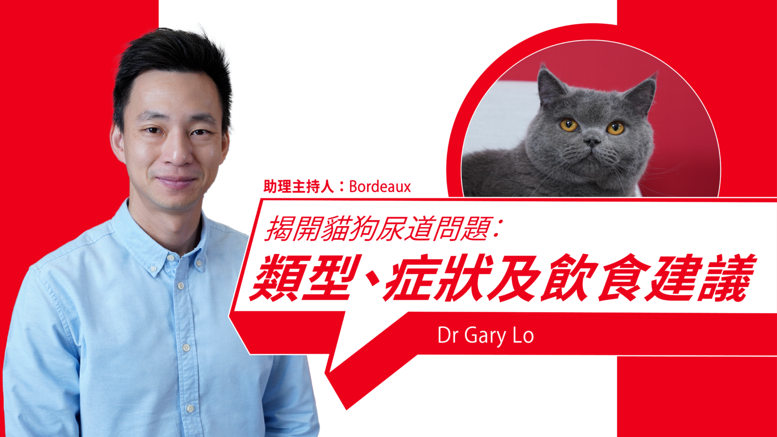 Unveiling Cat and Dog Urinary Tract Problems: Types, Symptoms, and Dietary Recommendations