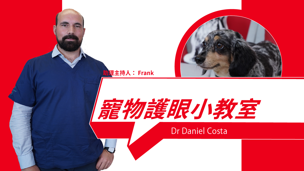 Bright Eyes, Happy Pets - Your Quick Guide to Essential Eye Care for Pets