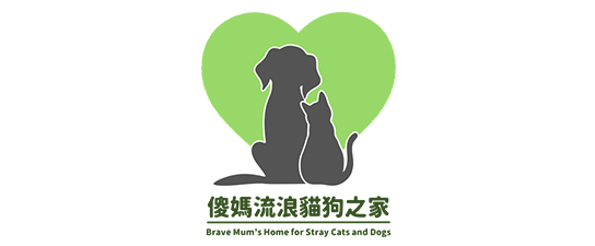 Brave Mums Home for Stray Cats and Dogs