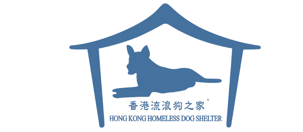 Hong Kong Homeless Dog Shelter