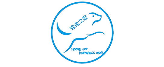 Home for homeless dog