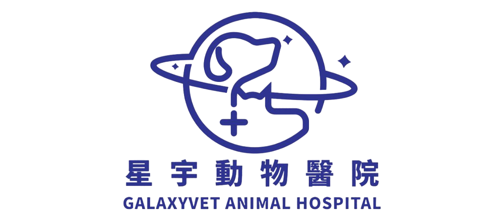 Galaxyvet Animal Hospital