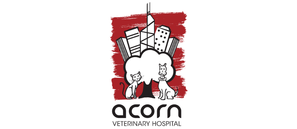 ACORN VETERINARY HOSPITAL
