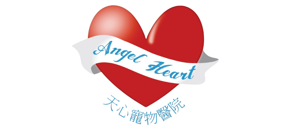 ANGEL HEART